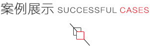 網(wǎng)站建設(shè)案例展示