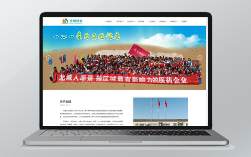 【北域藥業(yè)】|網(wǎng)站建設(shè)
